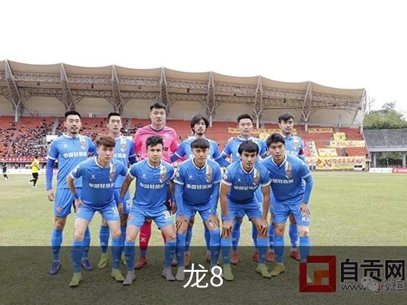 关于龙8